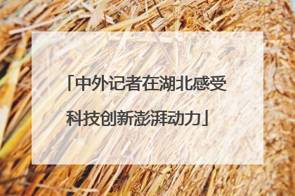 中外记者在湖北感受科技创新澎湃动力