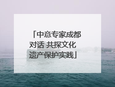 中意专家成都对话 共探文化遗产保护实践