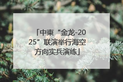 中柬“金龙-2025”联演举行海空方向实兵演练