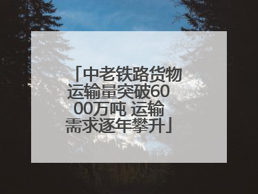 中老铁路货物运输量突破6000万吨 运输需求逐年攀升