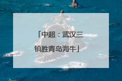 中超：武汉三镇胜青岛海牛