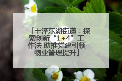 丰泽东湖街道：探索创新“1+4”工作法 助推党建引领物业管理提升