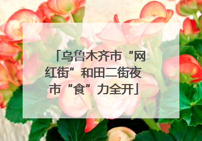 乌鲁木齐市“网红街”和田二街夜市“食”力全开