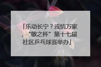 乐动长宁？戎情万家，“敏之杯”第十七届社区乒乓球赛举办