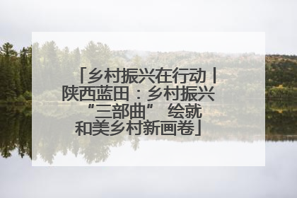 乡村振兴在行动丨陕西蓝田：乡村振兴 “三部曲” 绘就和美乡村新画卷
