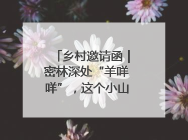 乡村邀请函｜密林深处“羊咩咩”，这个小山村如何逆袭？