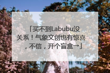买不到Labubu没关系！气象文创也有惊喜，不信，开个盲盒→