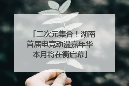 二次元集合！湖南首届电竞动漫嘉年华本月将在衡启幕