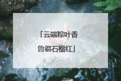 云端粽叶香 鲁疆石榴红