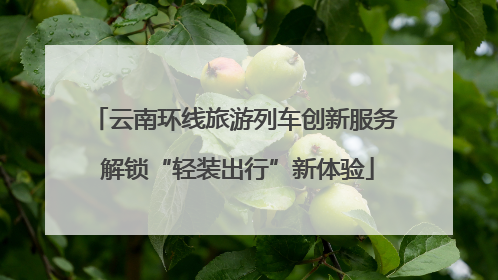 云南环线旅游列车创新服务 解锁“轻装出行”新体验