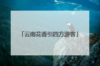 云南花香引四方游客