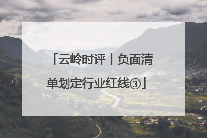 云岭时评丨负面清单划定行业红线③