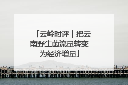云岭时评｜把云南野生菌流量转变为经济增量