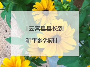 云霄县县长到和平乡调研