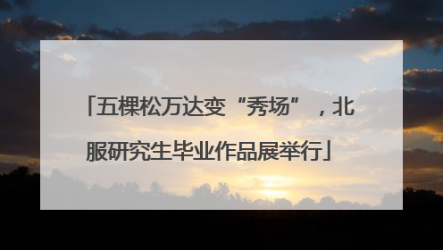 五棵松万达变“秀场”，北服研究生毕业作品展举行