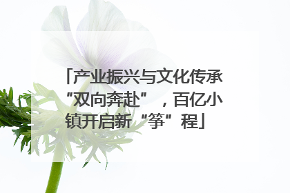 产业振兴与文化传承“双向奔赴”，百亿小镇开启新“筝”程