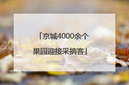 京城4000余个果园迎接采摘客