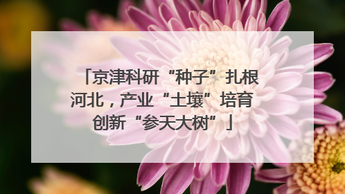 京津科研“种子”扎根河北，产业“土壤”培育创新“参天大树”