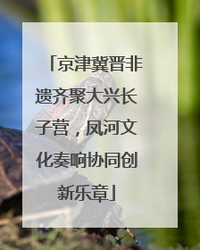 京津冀晋非遗齐聚大兴长子营，凤河文化奏响协同创新乐章