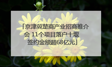 京津冀楚商产业招商推介会 11个项目落户十堰 签约金额超68亿元