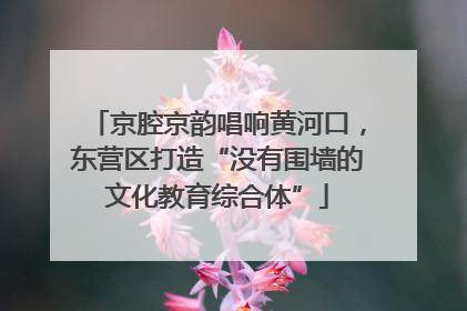 京腔京韵唱响黄河口，东营区打造“没有围墙的文化教育综合体”