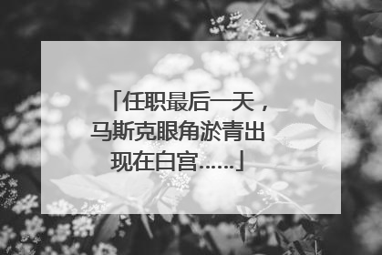 任职最后一天，马斯克眼角淤青出现在白宫……