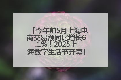 今年前5月上海电商交易额同比增长6.1%！2025上海数字生活节开幕