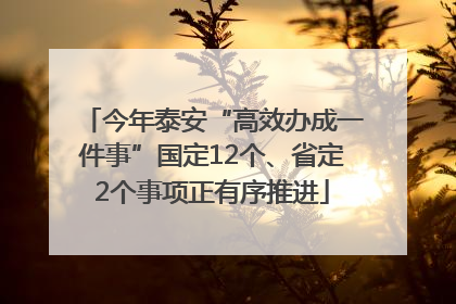 今年泰安“高效办成一件事”国定12个、省定2个事项正有序推进