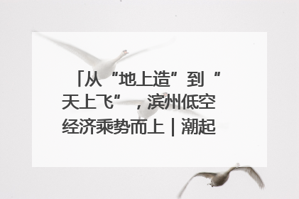 从“地上造”到“天上飞”，滨州低空经济乘势而上｜潮起渤海・网聚黄蓝