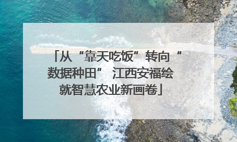 从“靠天吃饭”转向“数据种田” 江西安福绘就智慧农业新画卷
