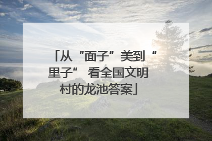 从“面子”美到“里子” 看全国文明村的龙池答案