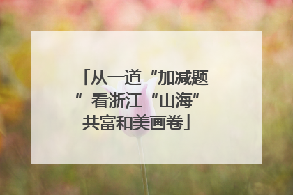 从一道“加减题”看浙江“山海”共富和美画卷