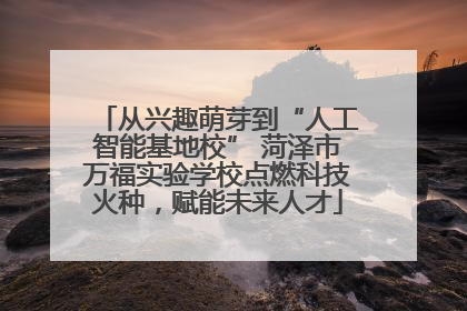 从兴趣萌芽到“人工智能基地校” 菏泽市万福实验学校点燃科技火种，赋能未来人才