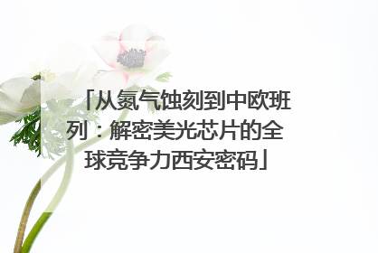 从氮气蚀刻到中欧班列：解密美光芯片的全球竞争力西安密码