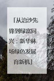 从治沙先锋到绿富同兴：新华林场绿色发展育新机