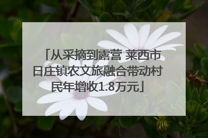 从采摘到露营 莱西市日庄镇农文旅融合带动村民年增收1.8万元