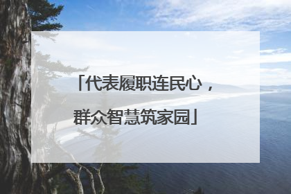代表履职连民心，群众智慧筑家园