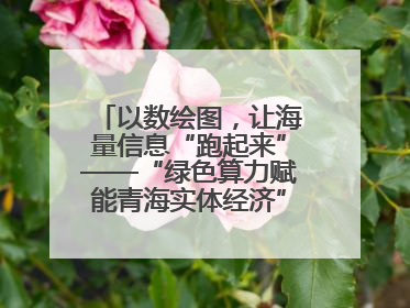 以数绘图，让海量信息“跑起来”——“绿色算力赋能青海实体经济”系列报道①