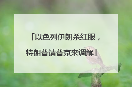 以色列伊朗杀红眼，特朗普请普京来调解