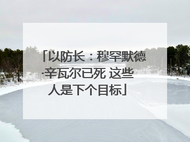 以防长：穆罕默德·辛瓦尔已死 这些人是下个目标