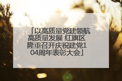 以高质量党建领航高质量发展 红旗区隆重召开庆祝建党104周年表彰大会