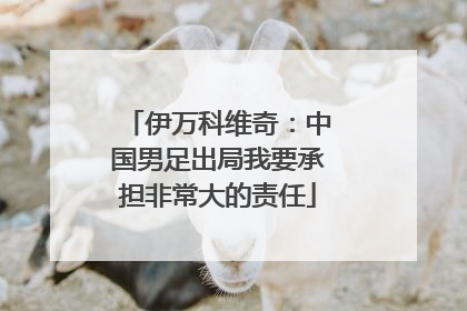 伊万科维奇：中国男足出局我要承担非常大的责任