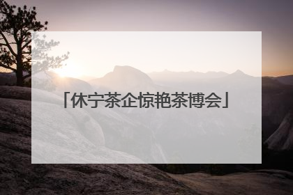 休宁茶企惊艳茶博会