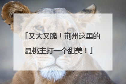 又大又脆！荆州这里的夏桃主打一个甜美！