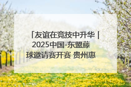 友谊在竞技中升华｜2025中国-东盟藤球邀请赛开赛 贵州惠水燃动“空中芭蕾”