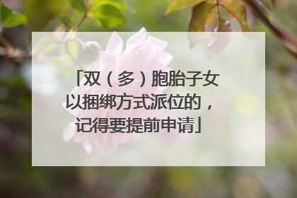 双（多）胞胎子女以捆绑方式派位的，记得要提前申请