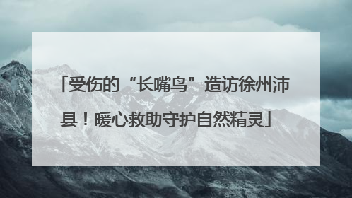 受伤的“长嘴鸟”造访徐州沛县！暖心救助守护自然精灵