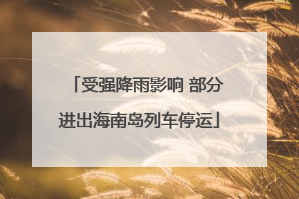 受强降雨影响 部分进出海南岛列车停运