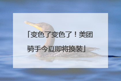 变色了变色了！美团骑手今夏即将换装