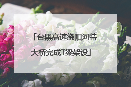 台黑高速绕阳河特大桥完成T梁架设